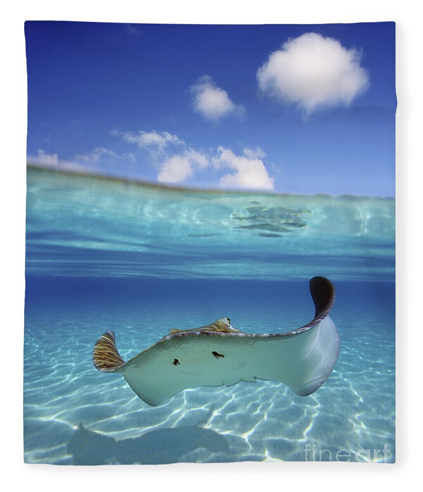 Above Fleece Blanket featuring the photograph Underwater Stingray 3 by M Swiet Productions