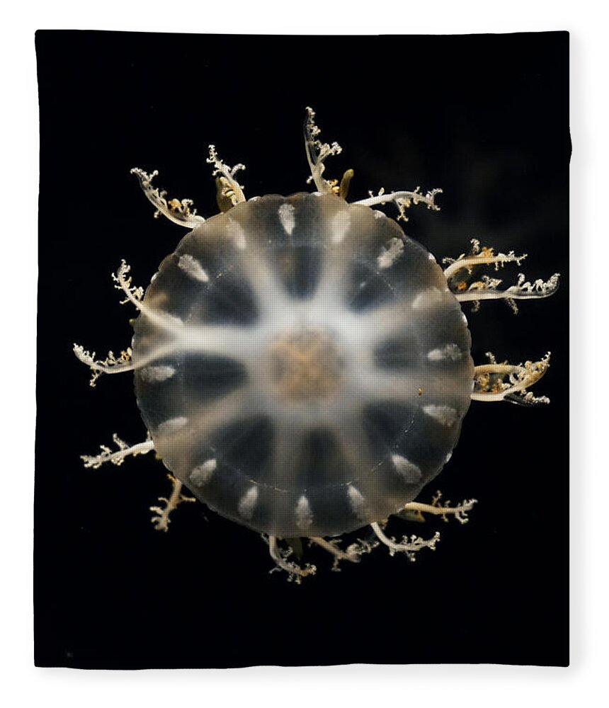Hiroya Minakuchi Fleece Blanket featuring the photograph Upside-down Jellyfish Japan by Hiroya Minakuchi