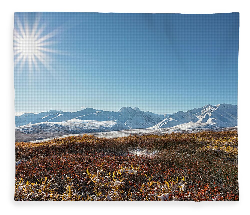 Scenics Fleece Blanket featuring the photograph Usa, Alaska, Shrub In Front Of Alaska by Westend61