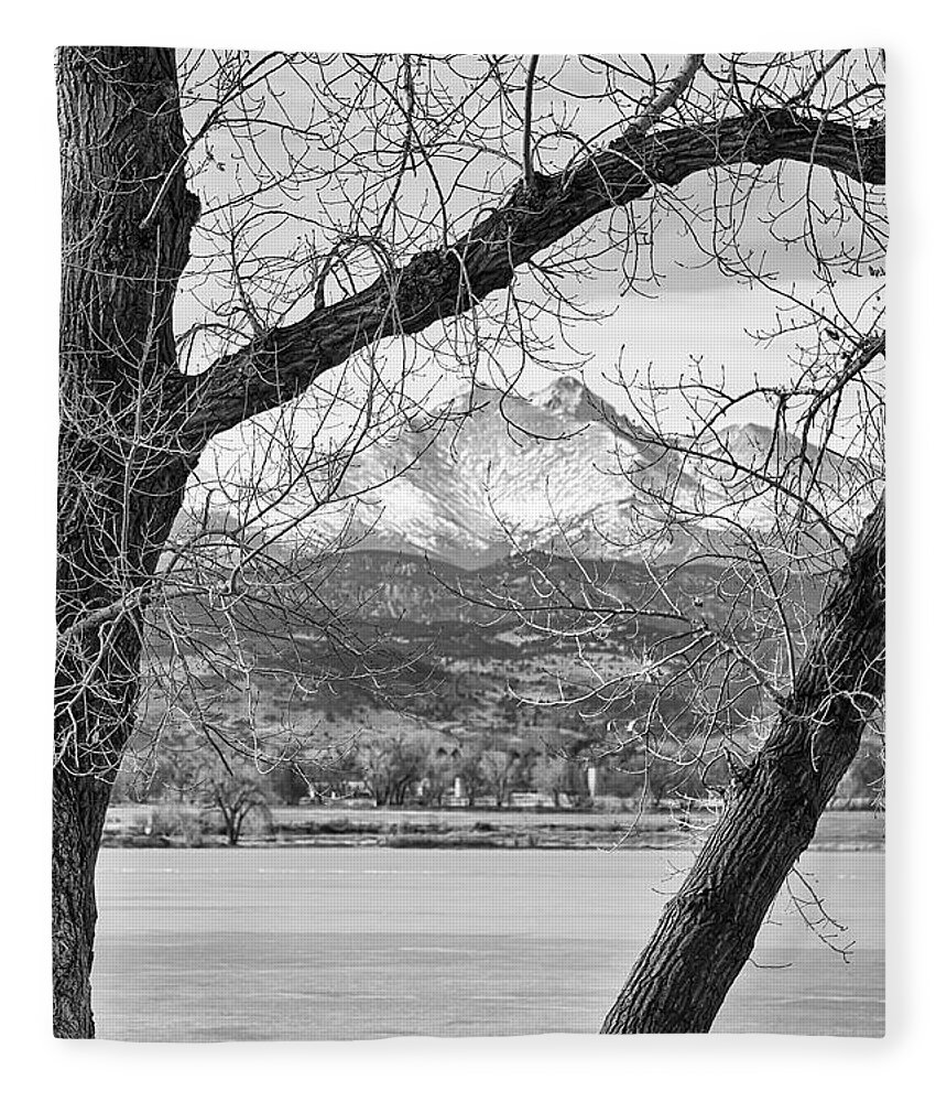 Longs Peak Fleece Blanket featuring the photograph View Through The Trees To Longs Peak BW by James BO Insogna