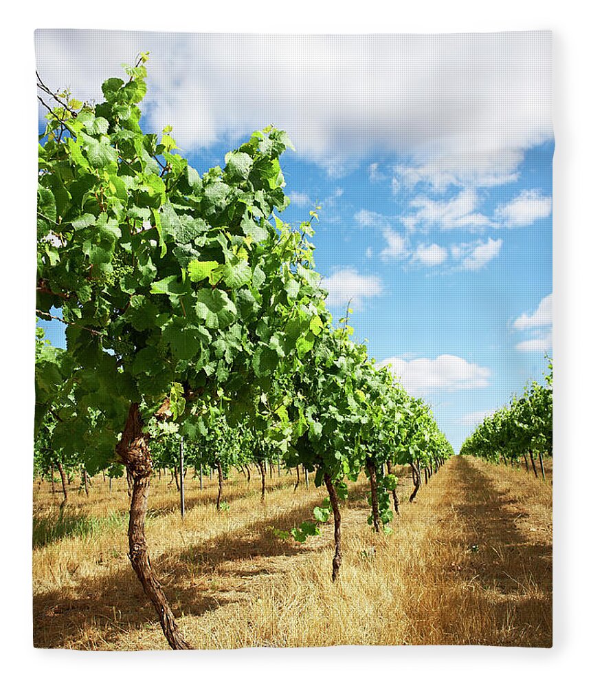 Tranquility Fleece Blanket featuring the photograph Vineyards by Frances Andrijich