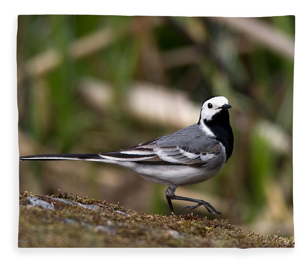 Wagtail's Step Fleece Blanket featuring the photograph Wagtail's step by Torbjorn Swenelius