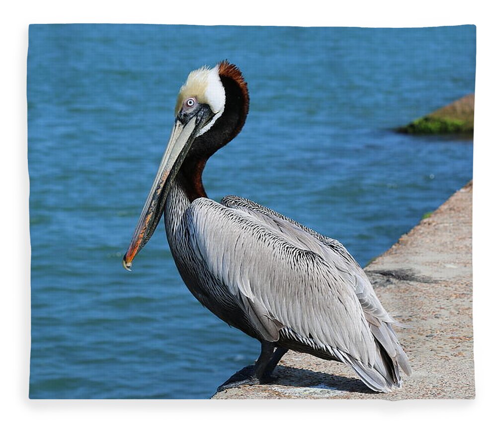 Fishing Fleece Blanket featuring the photograph Waiting for a Fish by Christy Pooschke