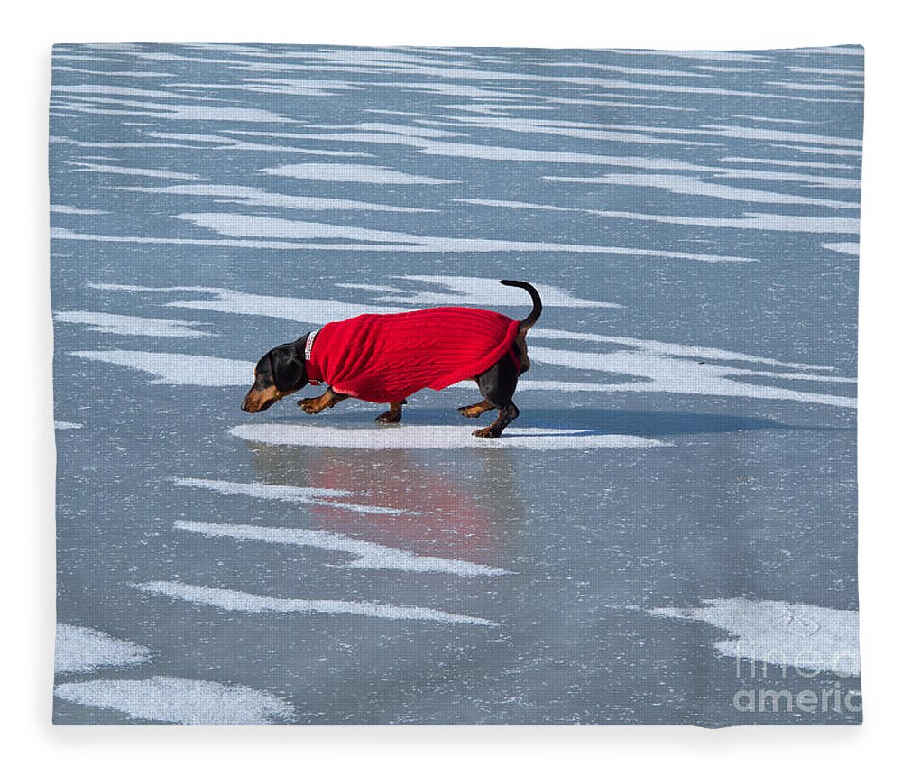 Dachshund Fleece Blanket featuring the photograph Walking on Ice Water by Ann Horn