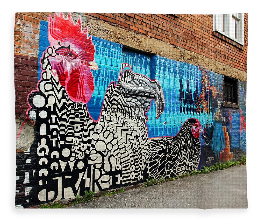 Brick Buildings Fleece Blanket featuring the photograph Wall of Chicken by Jennifer Robin