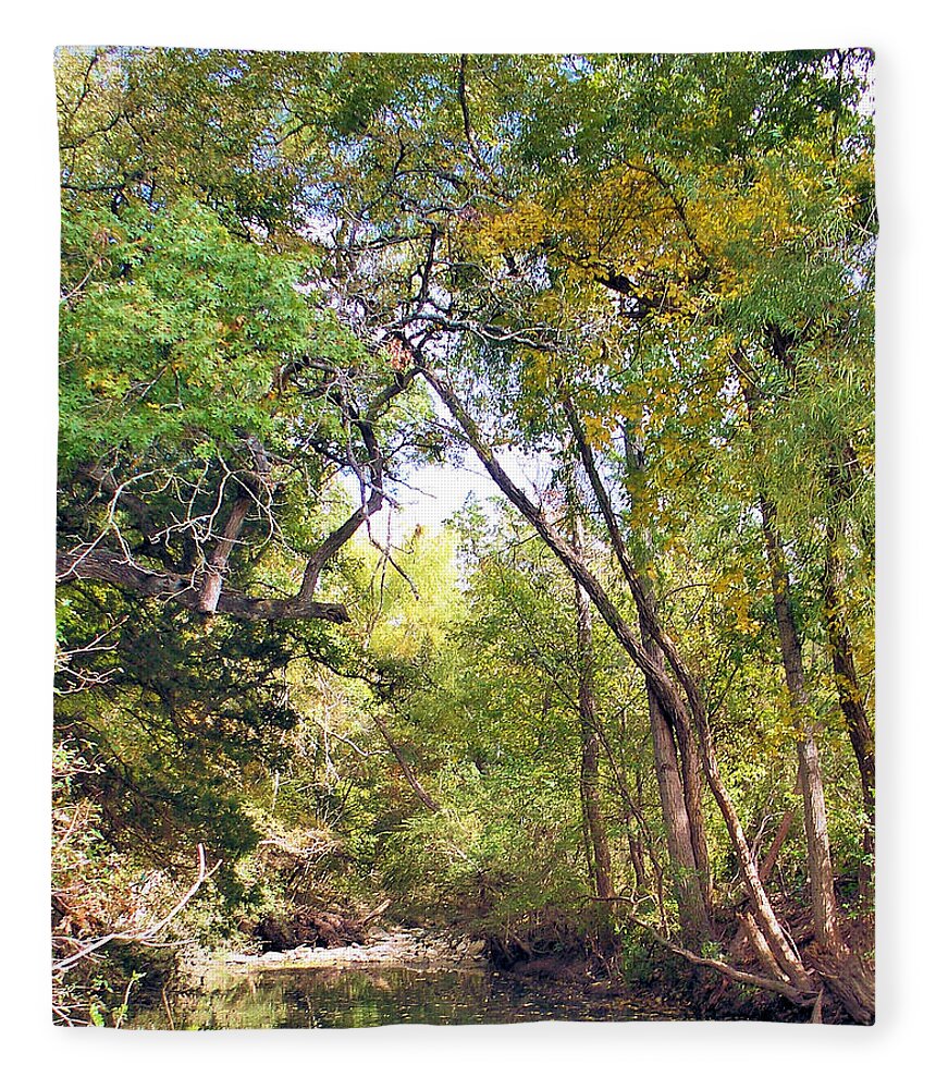 Walnut Creek Fleece Blanket featuring the painting Walnut Creek by Troy Caperton