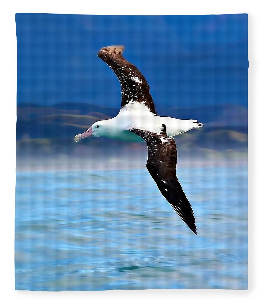 Wandering Albatross Fleece Blanket featuring the photograph Wandering Albatross In Flight by Amanda Stadther