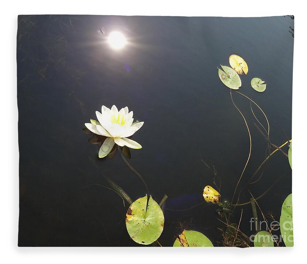 Water Lily Fleece Blanket featuring the photograph Water Lily by Laurel Best
