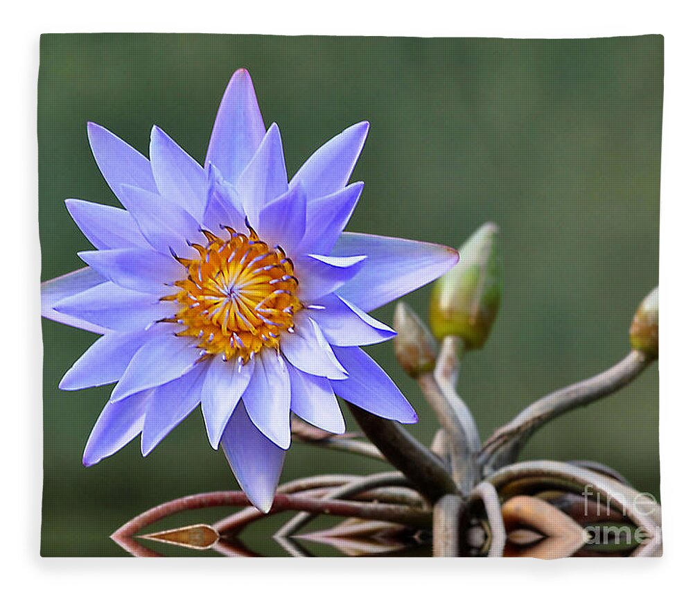 Flowers Fleece Blanket featuring the photograph Water Lily Reflections by Kathy Baccari