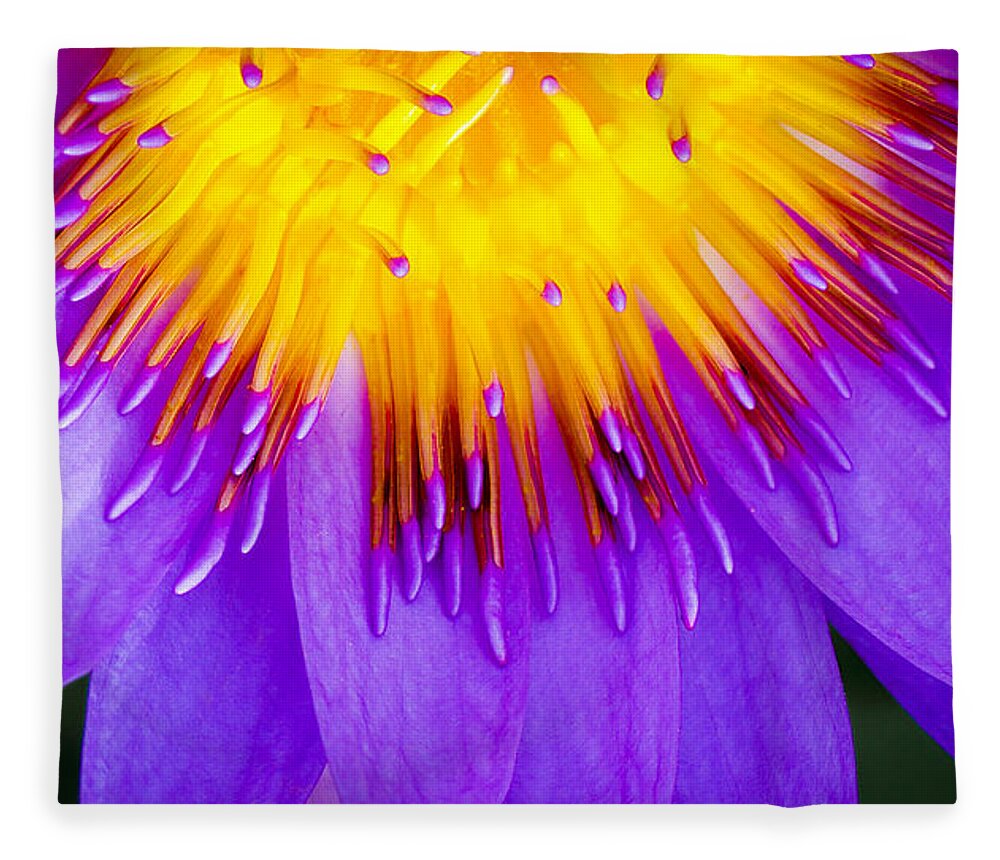  Water Fleece Blanket featuring the photograph Water Lily by Will Wagner