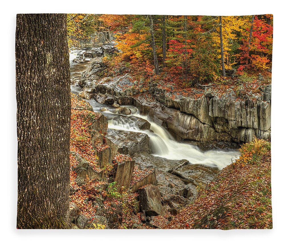 Photograph Fleece Blanket featuring the photograph Watercolor by Richard Gehlbach
