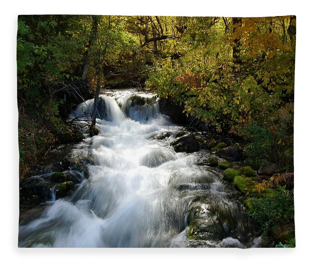 Waterfall Fleece Blanket featuring the photograph Waterfall on the Little Spearfish IV by Greni Graph