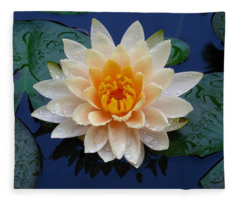 Waterlily Fleece Blanket featuring the photograph Waterlily After a Shower by Raymond Salani III