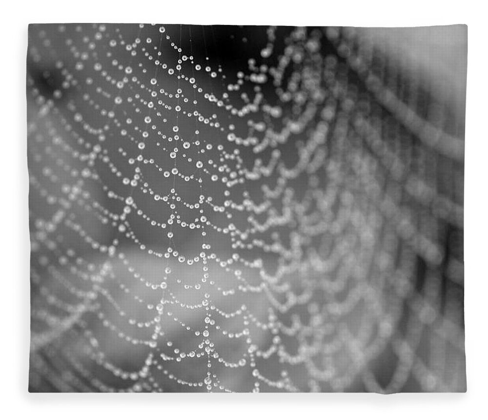 Spider Fleece Blanket featuring the photograph Web in the rain by Jackson Pearson