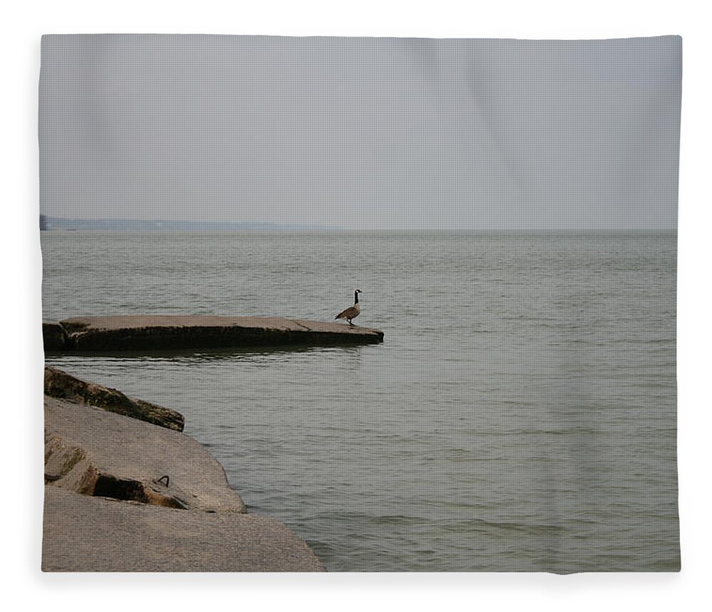 Canadian Geese Fleece Blanket featuring the photograph Solitude on Lake Erie by Valerie Collins