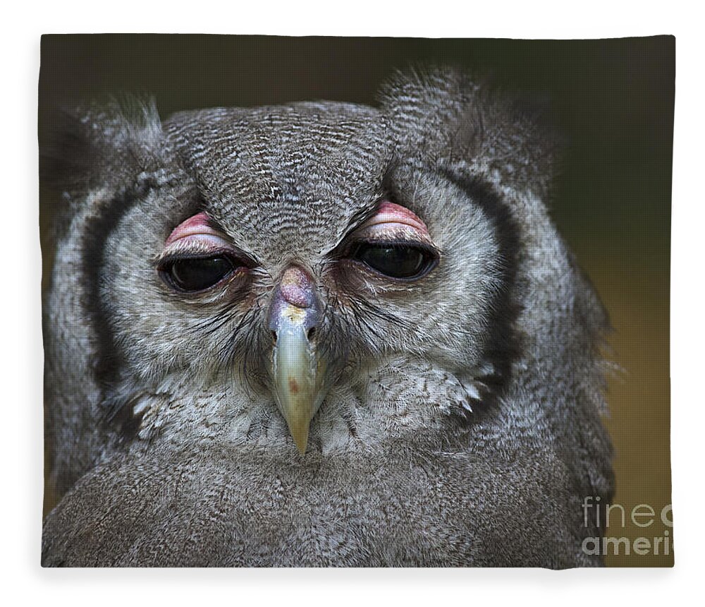 Festblues Fleece Blanket featuring the photograph Where is my Tea... by Nina Stavlund