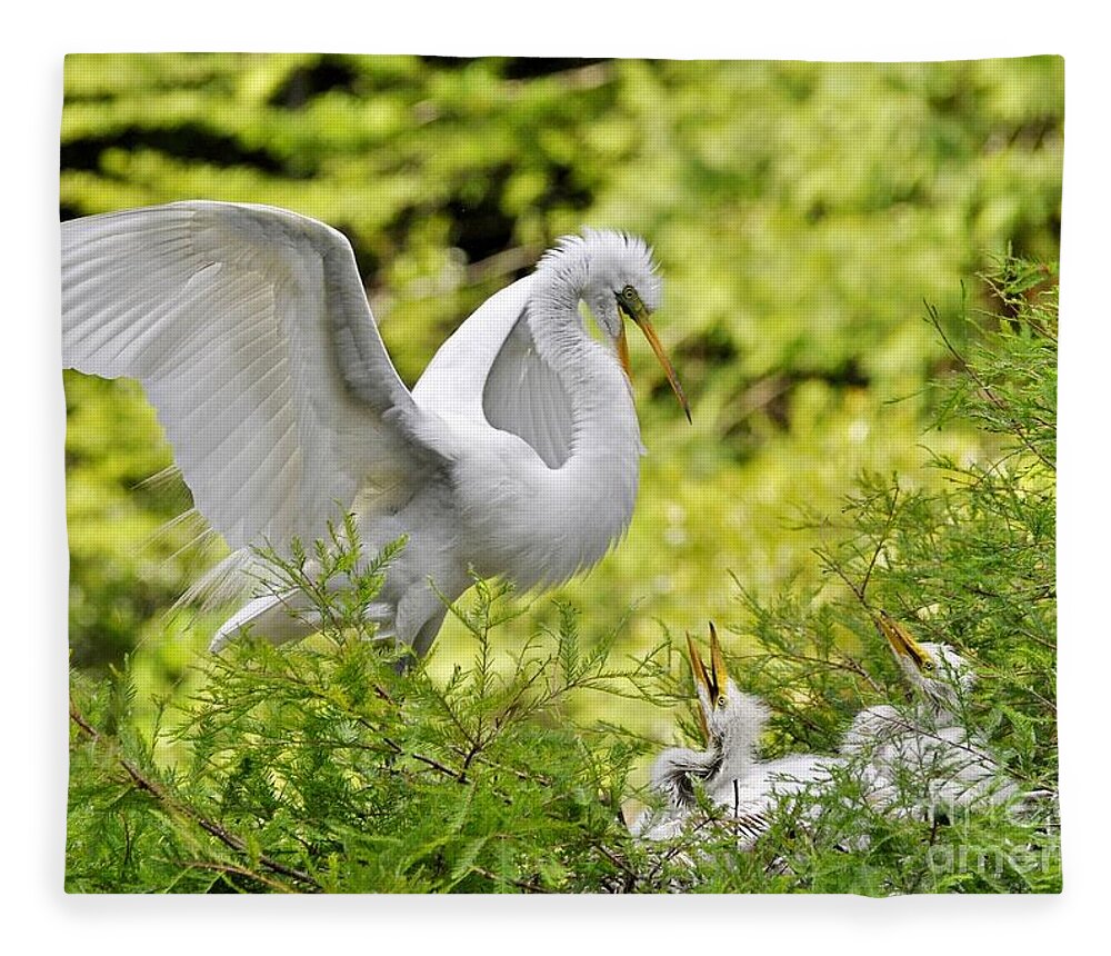 Egret Fleece Blanket featuring the photograph Where's Our Lunch Ma by Kathy Baccari