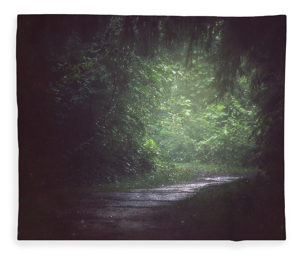 Wherever The Path May Lead Fleece Blanket featuring the photograph Wherever The Path May Lead by Carrie Ann Grippo-Pike