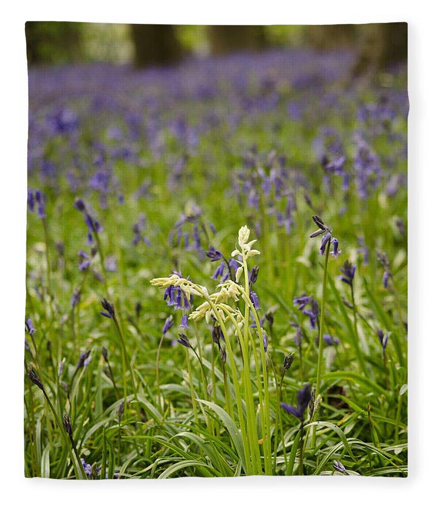 Forest Fleece Blanket featuring the photograph White amongst the Blue by Spikey Mouse Photography