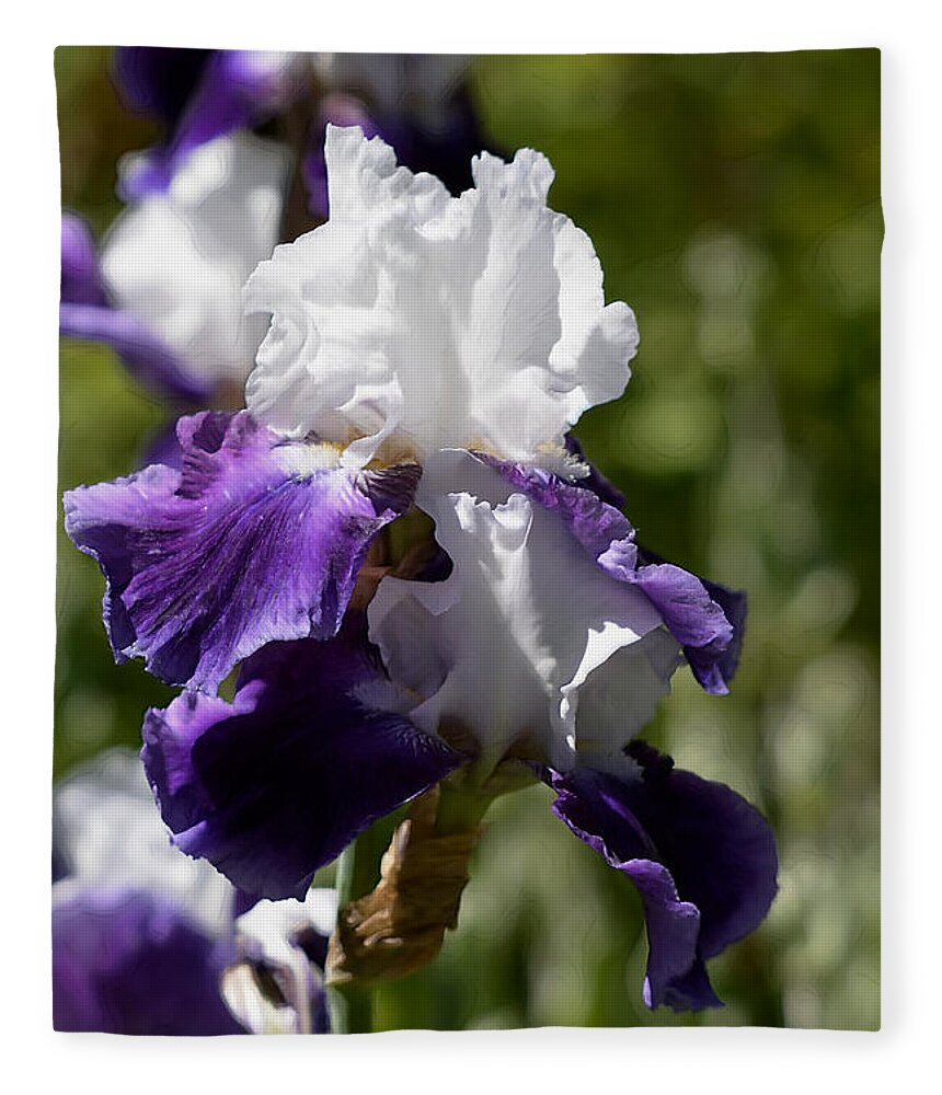 Iris Fleece Blanket featuring the photograph White and Purple Iris by Kae Cheatham