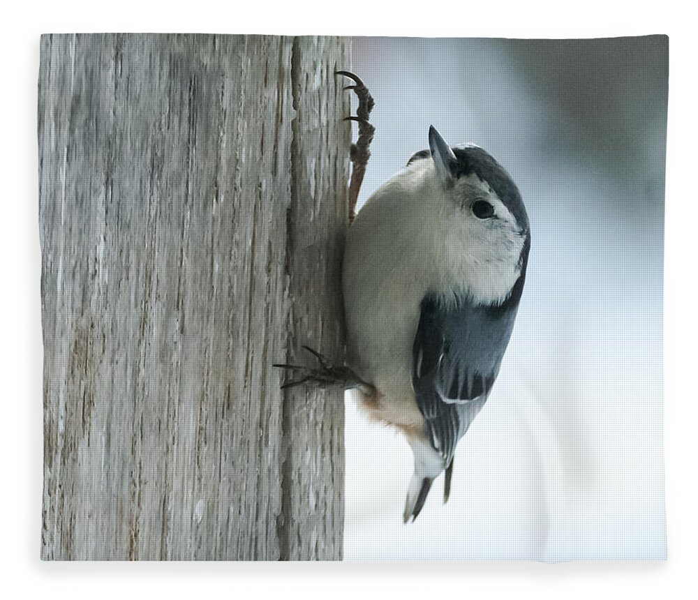 Bird Fleece Blanket featuring the photograph White-Breasted Nuthatch by Holden The Moment