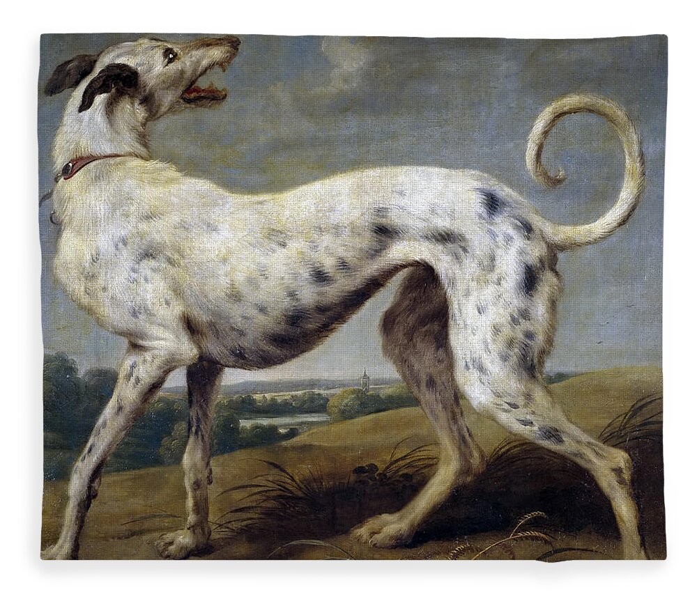 Paul De Vos Fleece Blanket featuring the painting White Hound by Paul de Vos
