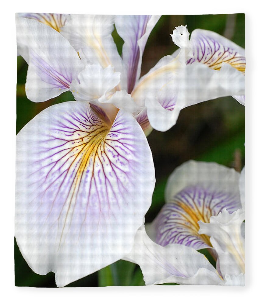 Flower Fleece Blanket featuring the photograph White Iris 1 by Amy Fose