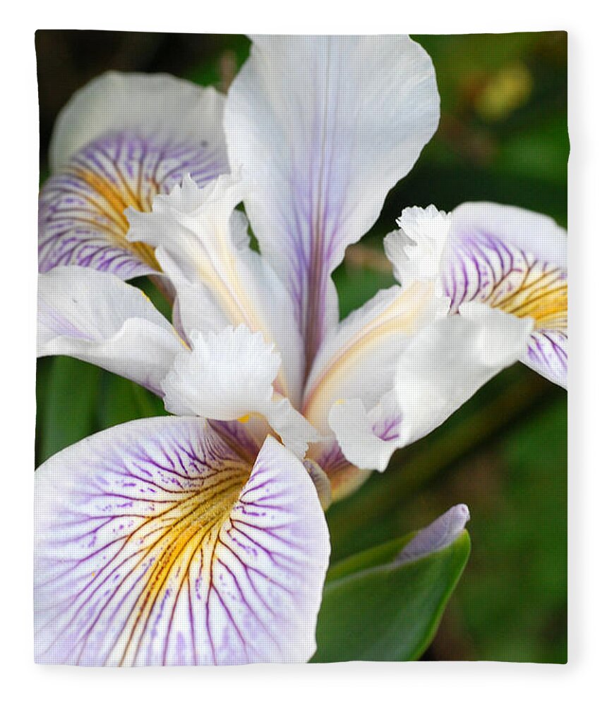 Flower Fleece Blanket featuring the photograph White Iris 2 by Amy Fose