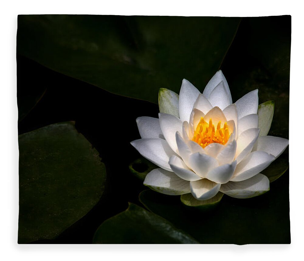Lily Pad Fleece Blanket featuring the photograph White Light by Rebecca Cozart