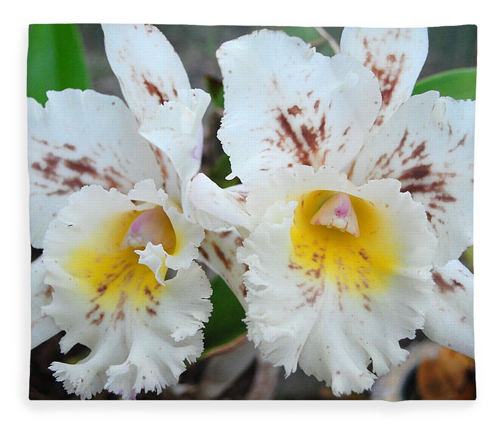Kula Botanical Gardens Fleece Blanket featuring the photograph White Orchids by Amy Fose
