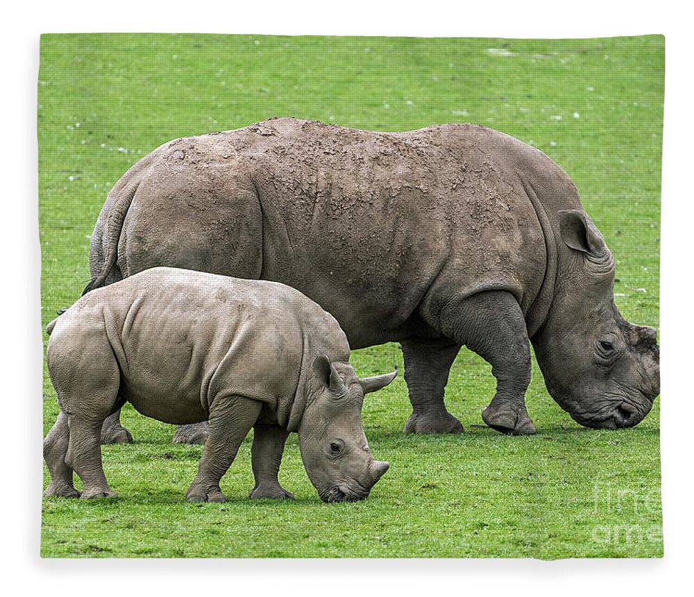 White Rhino Fleece Blanket featuring the photograph White rhino 8 by Arterra Picture Library