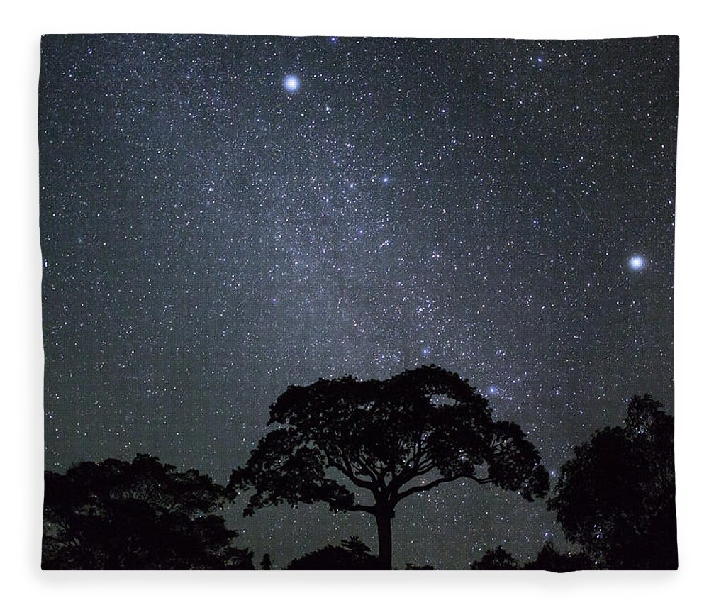 Konrad Wothe Fleece Blanket featuring the photograph White Silk Floss Tree And Starry T Sky by Konrad Wothe