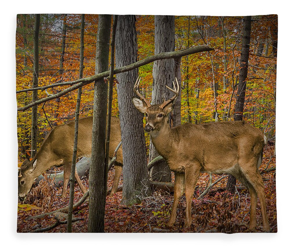 Art Fleece Blanket featuring the photograph White Tail Deer Bucks in an Autumn Woodland Forest by Randall Nyhof