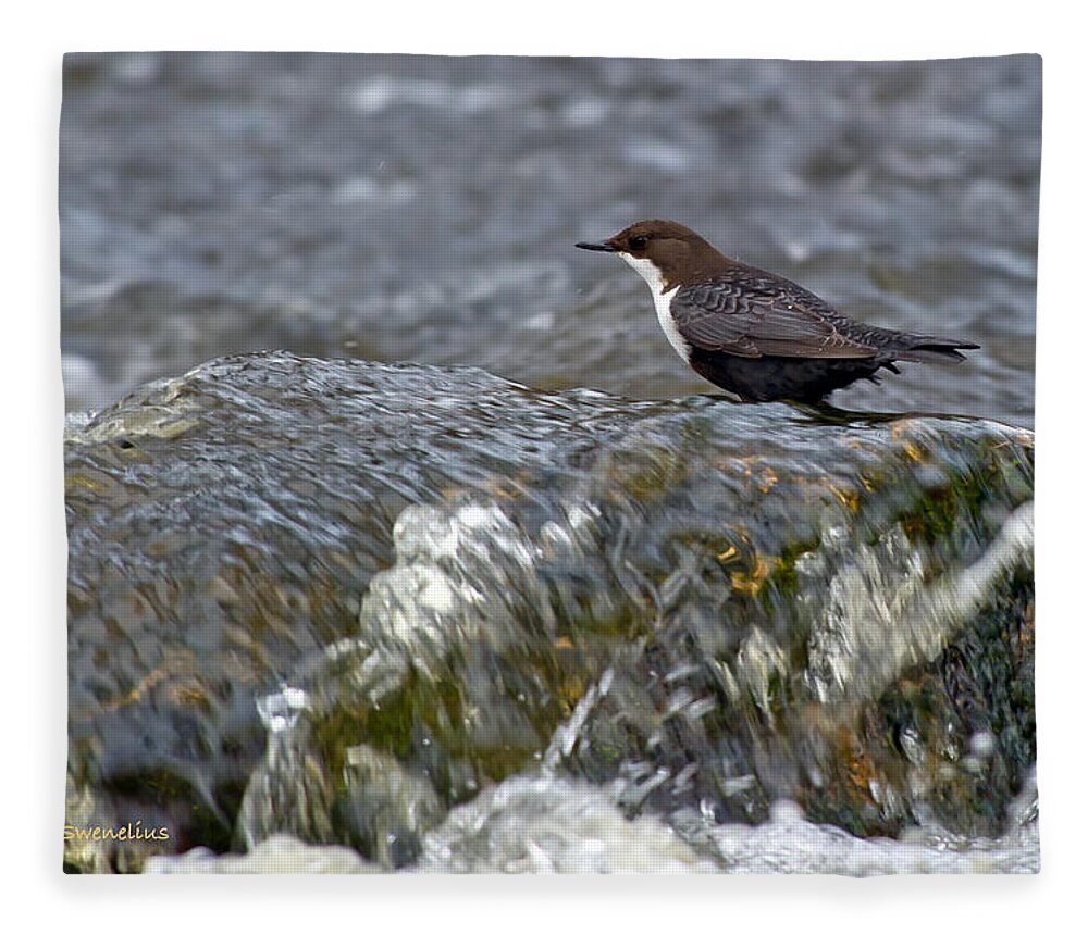 White-throated Dipper Fleece Blanket featuring the photograph White-throated Dipper by Torbjorn Swenelius