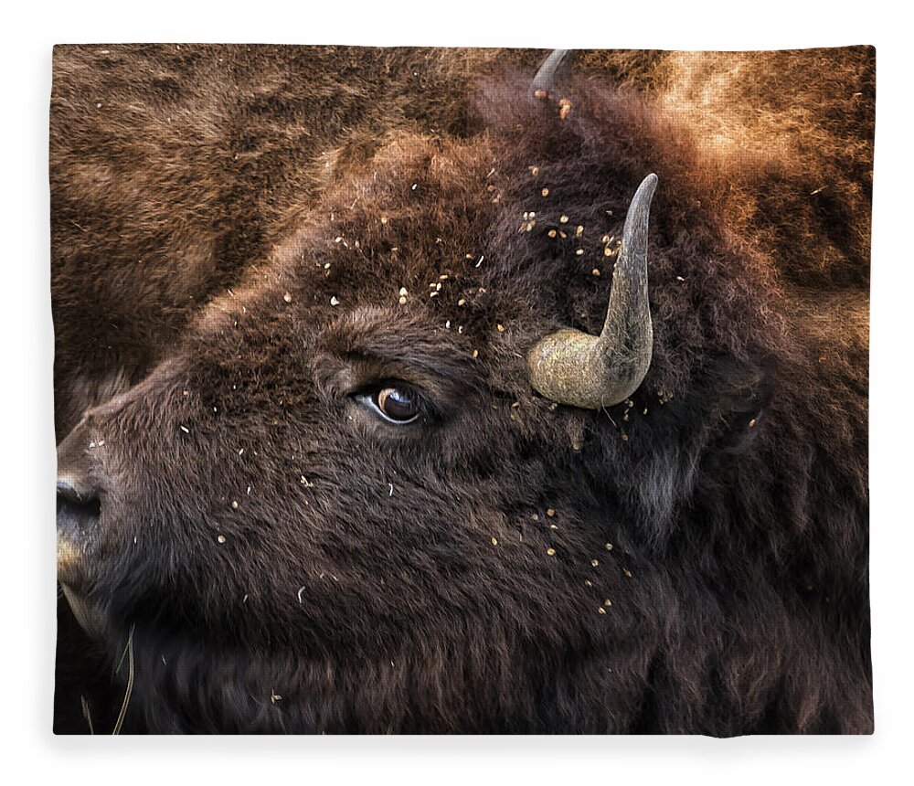 Bison Fleece Blanket featuring the photograph Wild Eye - Bison - Yellowstone by Belinda Greb