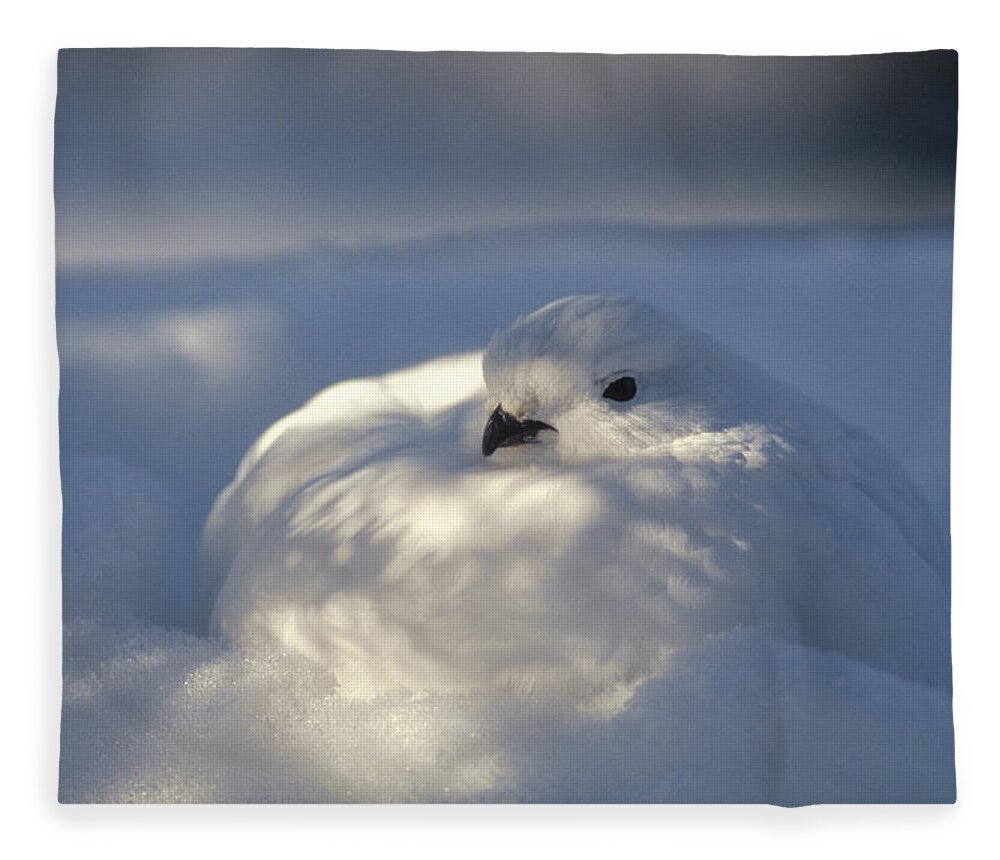 Feb0514 Fleece Blanket featuring the photograph Willow Ptarmigan Camouflaged Alaska by Michael Quinton