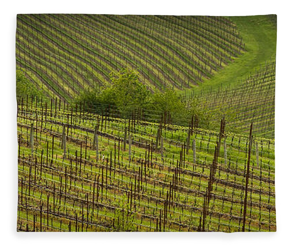 Wine Fleece Blanket featuring the photograph Wine Design by Jean Noren