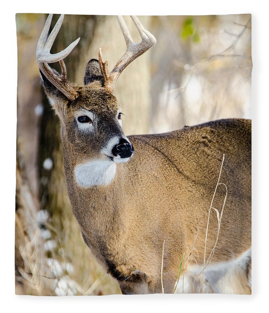 Deer Fleece Blanket featuring the photograph Winter Buck by Wild Fotos