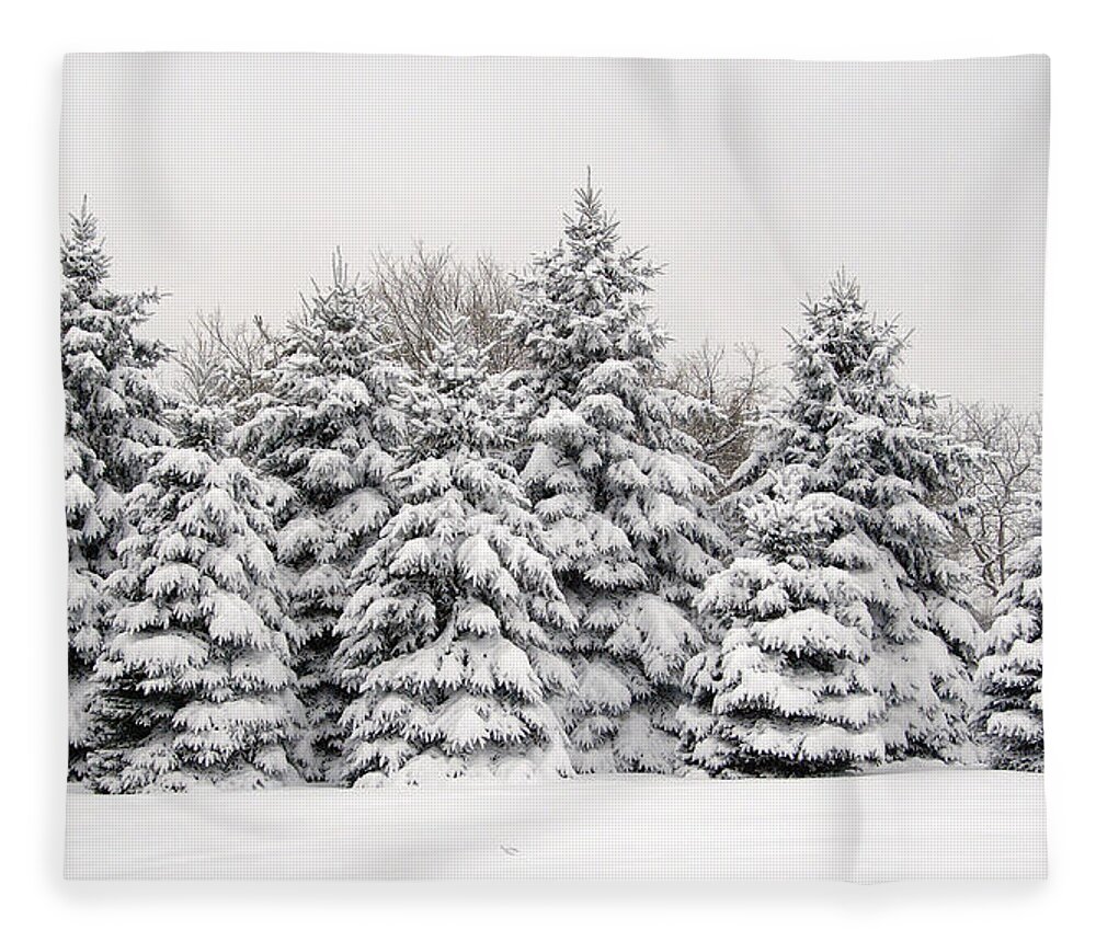 Trees Fleece Blanket featuring the photograph Winter Copse by Wesley Elsberry