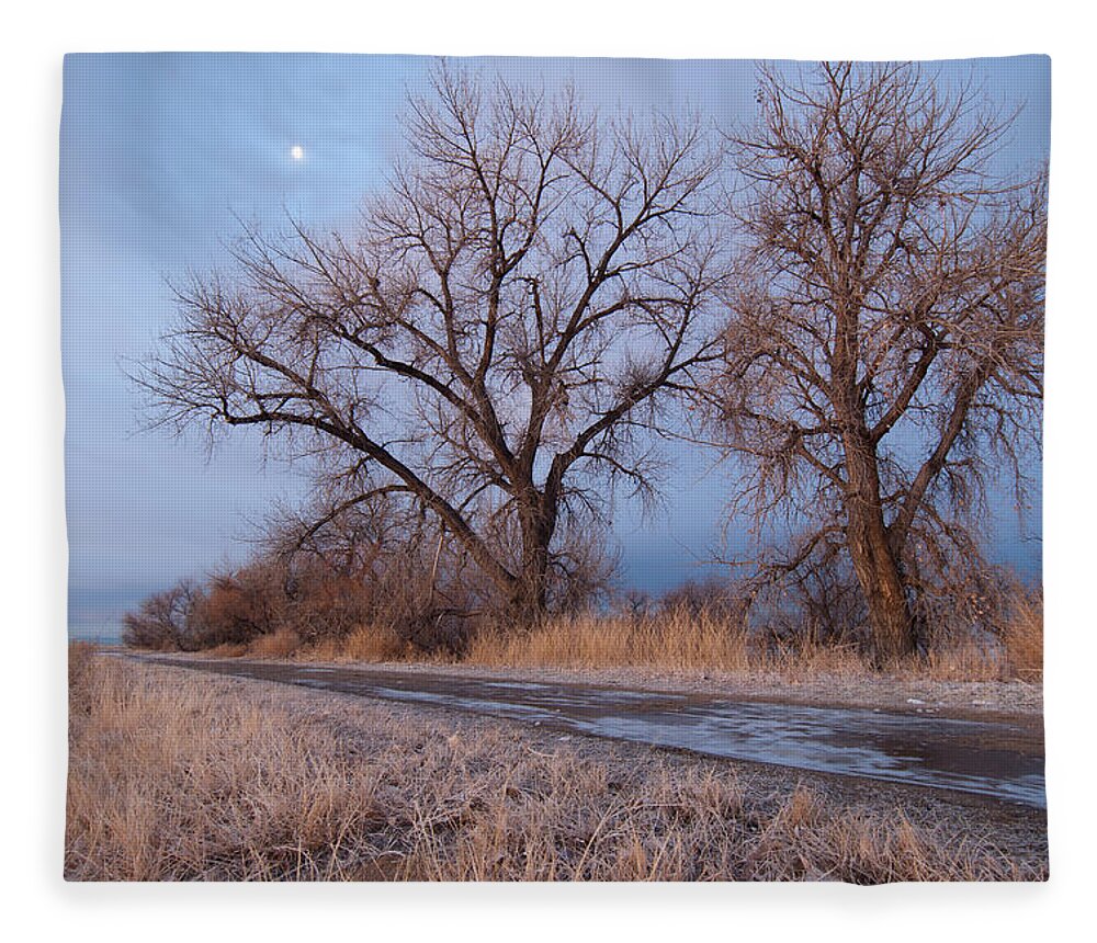 Winter Fleece Blanket featuring the photograph Winter Dawn Moon and Tree Landscape by Cascade Colors