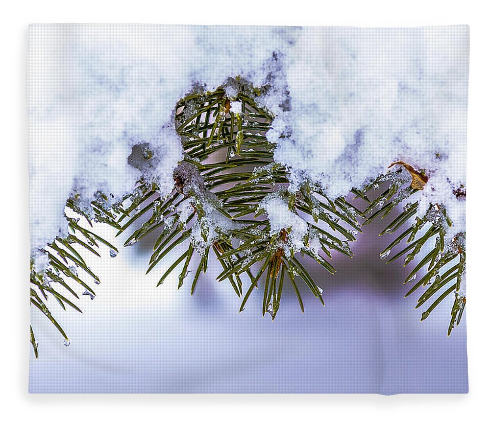 Pine Tree Fleece Blanket featuring the pyrography Winter Pine by Rick Bartrand