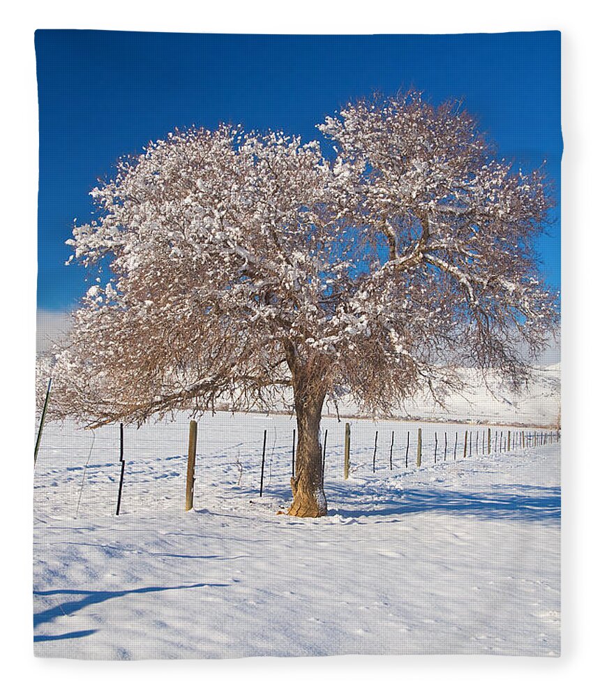 Tree Fleece Blanket featuring the photograph Winter Season on the Plains Portrait by James BO Insogna