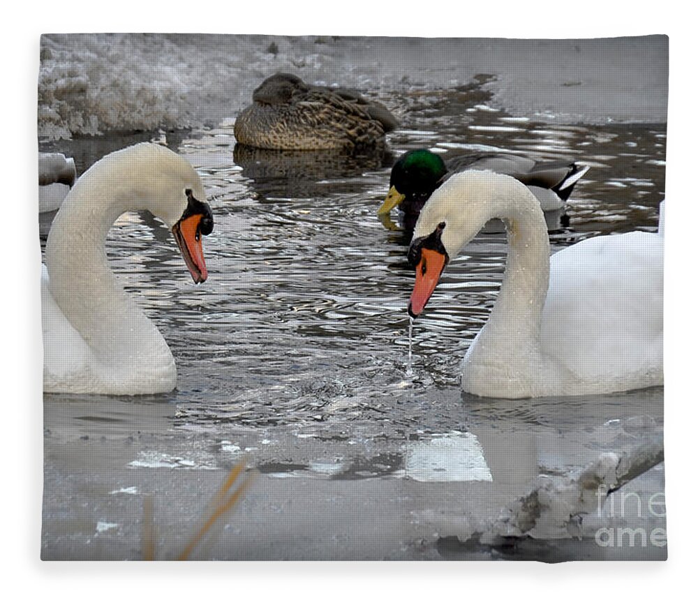 Swan Fleece Blanket featuring the photograph Winter Swans by Gary Keesler