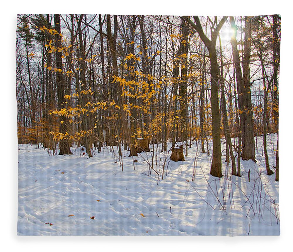 Winter Fleece Blanket featuring the photograph Winter Walk by Laurel Best