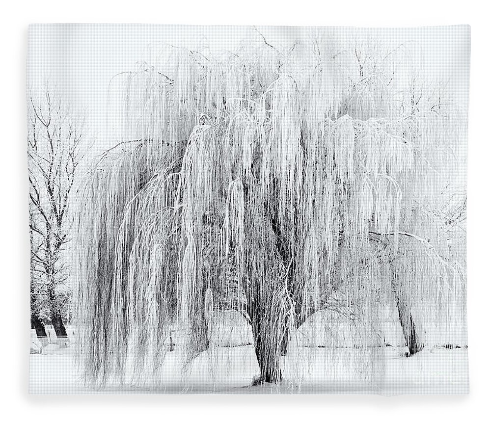 Willow Fleece Blanket featuring the photograph Winter Willow by Michael Dawson