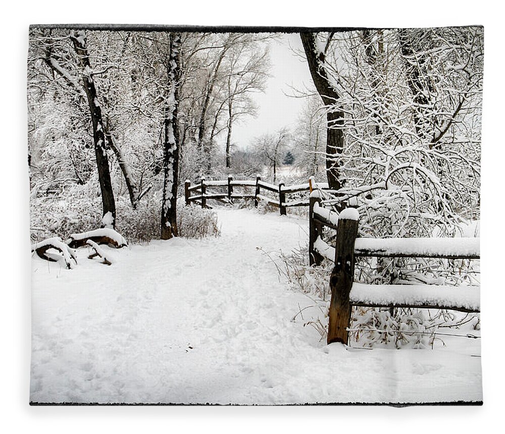 Winter Wonderland Fleece Blanket featuring the photograph Winter Wonderland by Juli Ellen