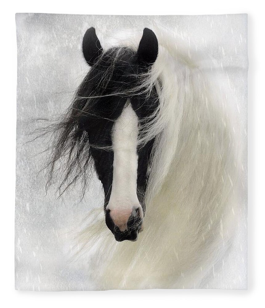 Horses Fleece Blanket featuring the photograph Wisteria by Fran J Scott