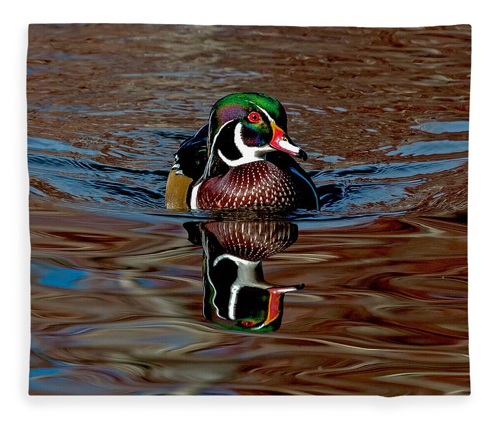 Wood Duck Fleece Blanket featuring the photograph Wood Duck Drake in Chocolate Water by Dawn Key
