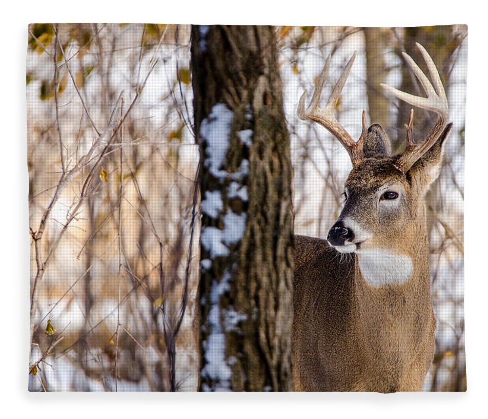 Buck Fleece Blanket featuring the photograph Woodland Outlaw by Steven Santamour