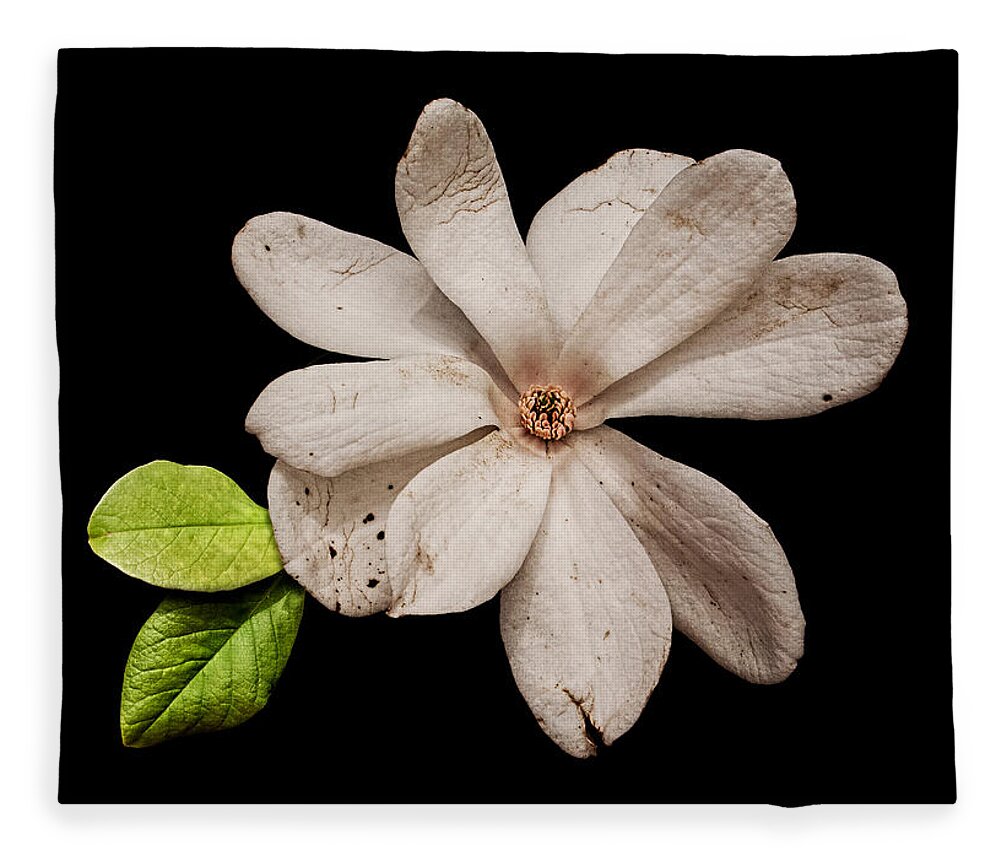 Wounded White Magnolia Fleece Blanket featuring the photograph Wounded White Magnolia by Weston Westmoreland